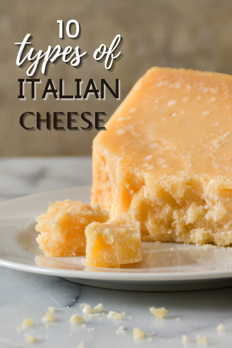 15 Most Famous Italian Cheese Types Best Italian Cheese IB