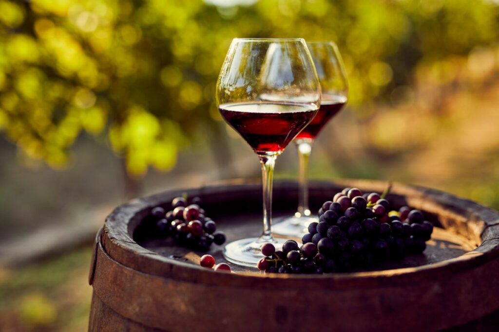 best Italian red wine types
