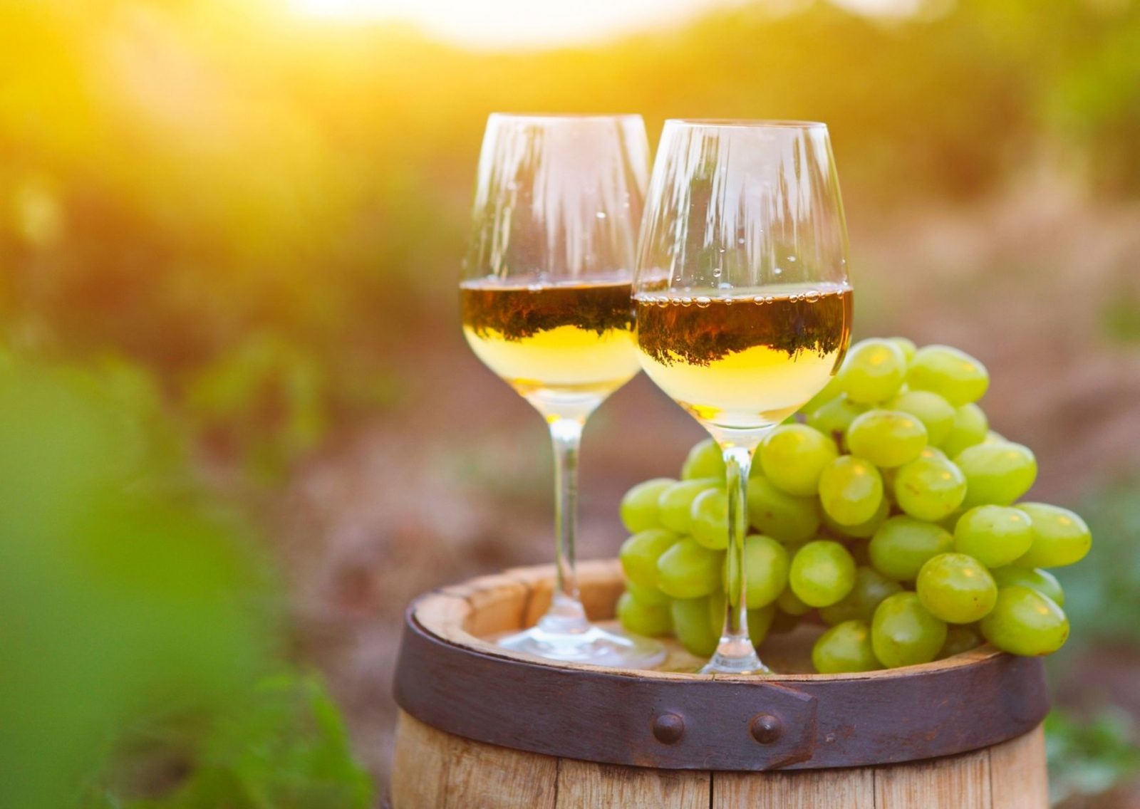 10 Best Italian White Wines - Best Italian Dry White Wines | IB