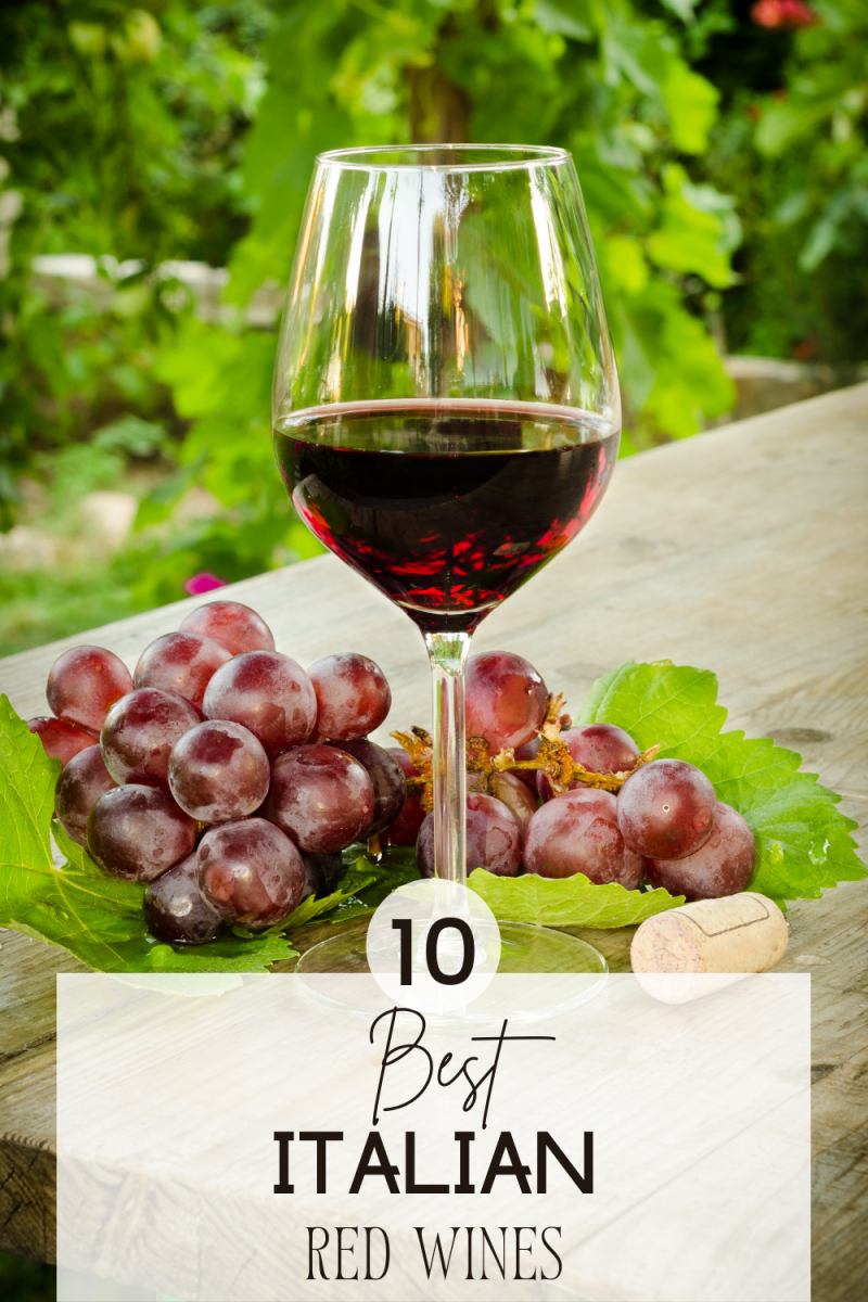 10 Best Italian Red Wine Types- Red Wines in Italy | Italy Best