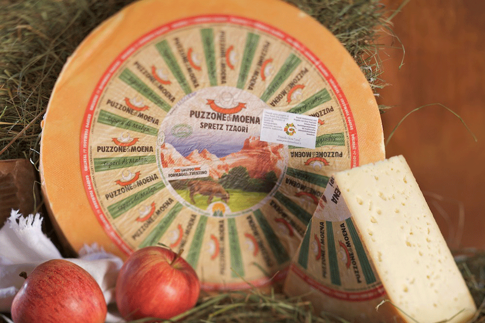 Best Italian cheese types