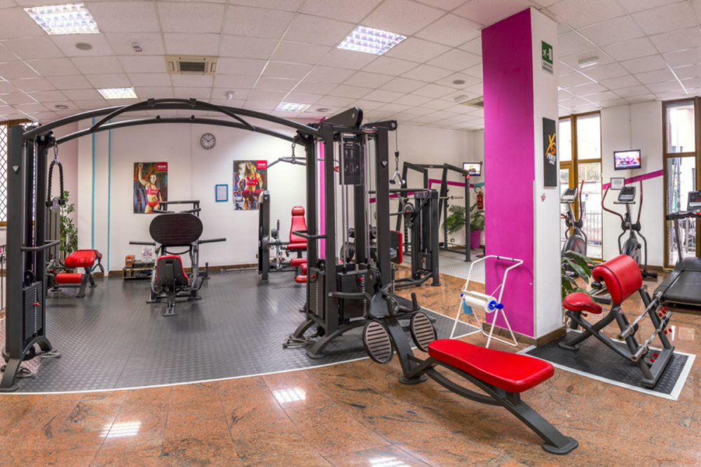 10 Best Gyms in Rome Which Are the Best Roman Gyms?